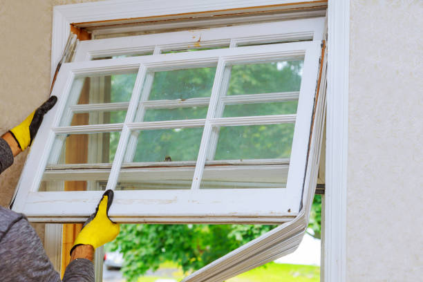 istockphoto-1042653424-612×612